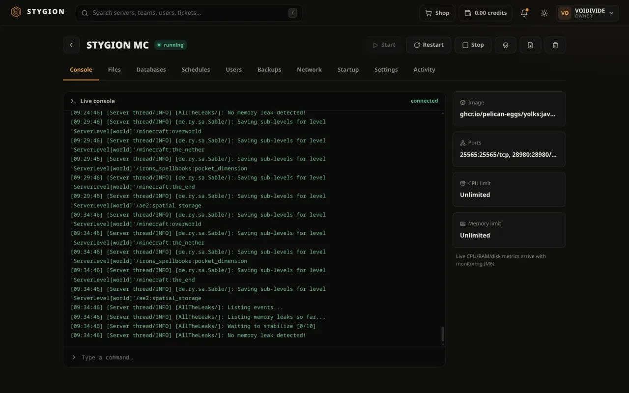 A game server open in the panel: the live console mid-log, with the image, ports and limits beside it.