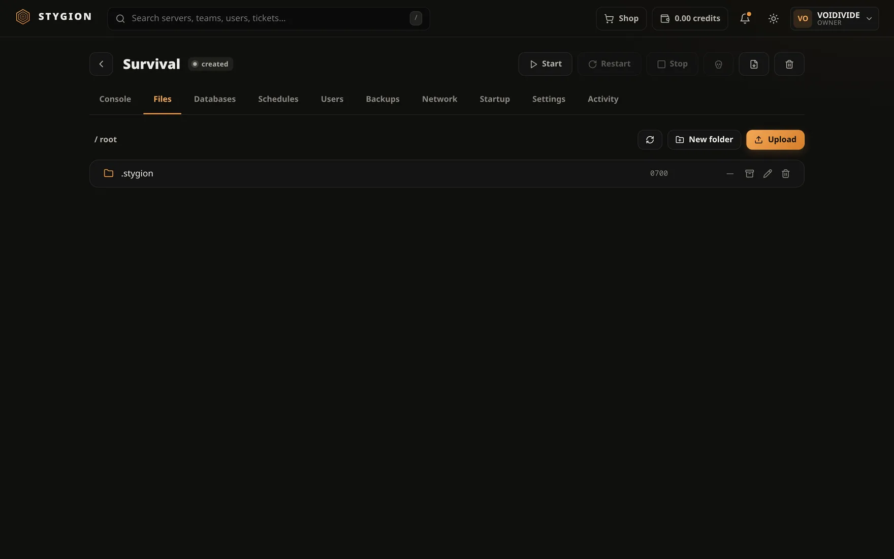 The file manager in the panel: folders of a server, with upload and archive actions.